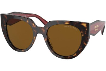 Solglasögon Prada PR14WS 2AU5Y1 Polarized Cat Eye Havana