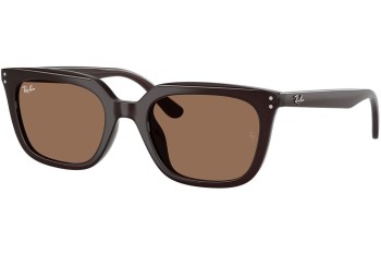 Solglasögon Ray-Ban RB4439D 623173 Fyrkantig Brun