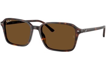 Solglasögon Ray-Ban RB2231 902/57 Polarized Fyrkantig Havana