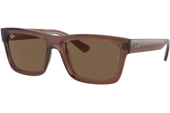 Solglasögon Ray-Ban Warren RB4396 667873 Rektangulära Brun