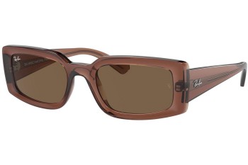 Solglasögon Ray-Ban Kiliane RB4395 667873 Rektangulära Brun