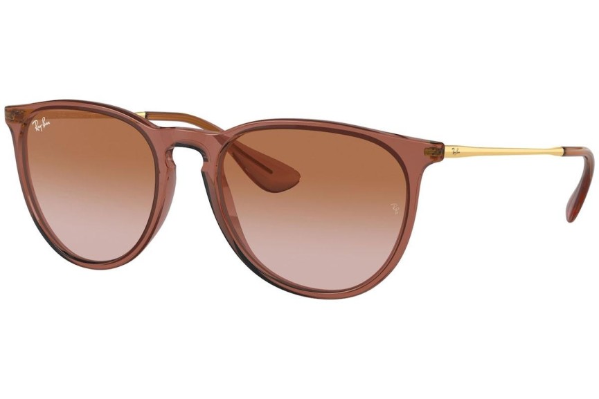 Solglasögon Ray-Ban Erika RB4171 659013 Runda Brun