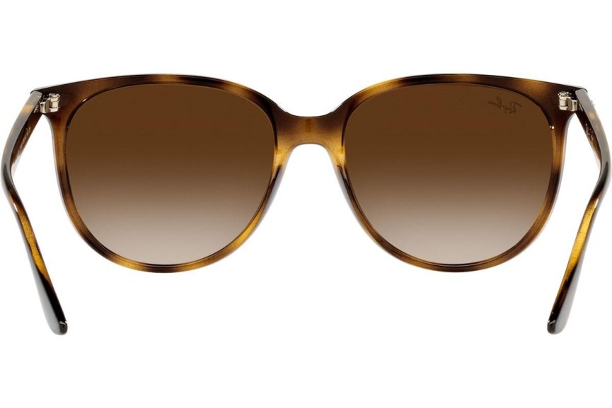 Solglasögon Ray-Ban RB4378 710/13 Fyrkantig Havana