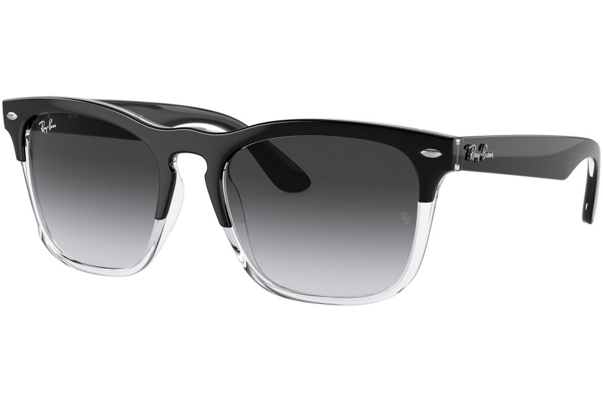 Solglasögon Ray-Ban Steve RB4487 66308G Fyrkantig Svart