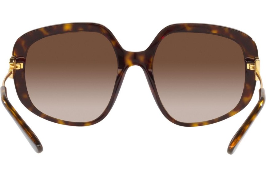 Solglasögon Dolce & Gabbana DG4421 502/13 Oversize Havana