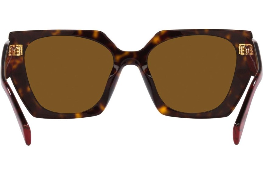 Solglasögon Prada PR15WS 2AU5Y1 Polarized Fyrkantig Havana