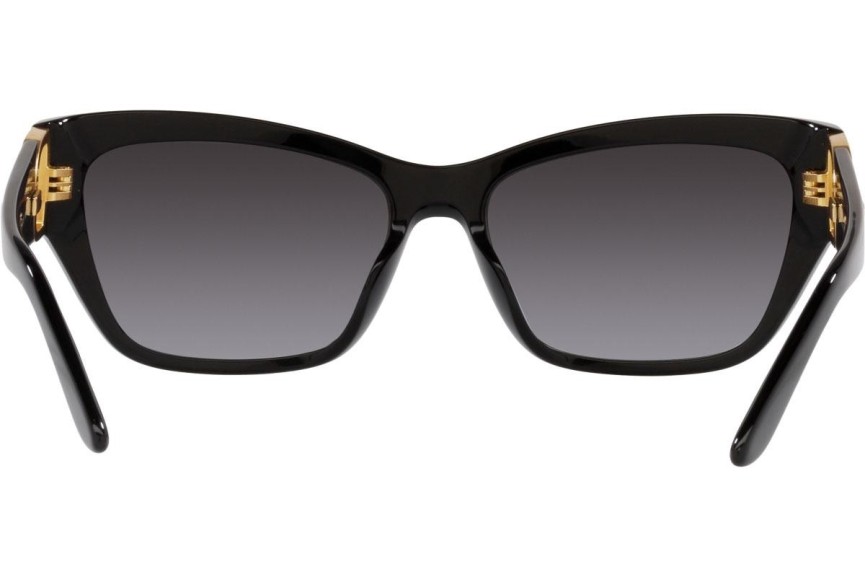 Solglasögon Ralph Lauren The Audrey RL8206U 50018G Cat Eye Svart