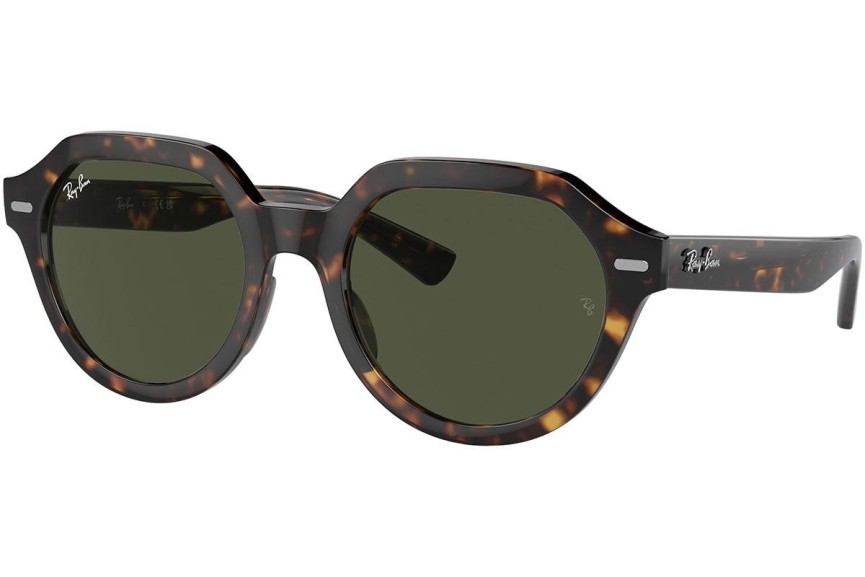 Solglasögon Ray-Ban Gina RB4399 902/31 Fyrkantig Havana