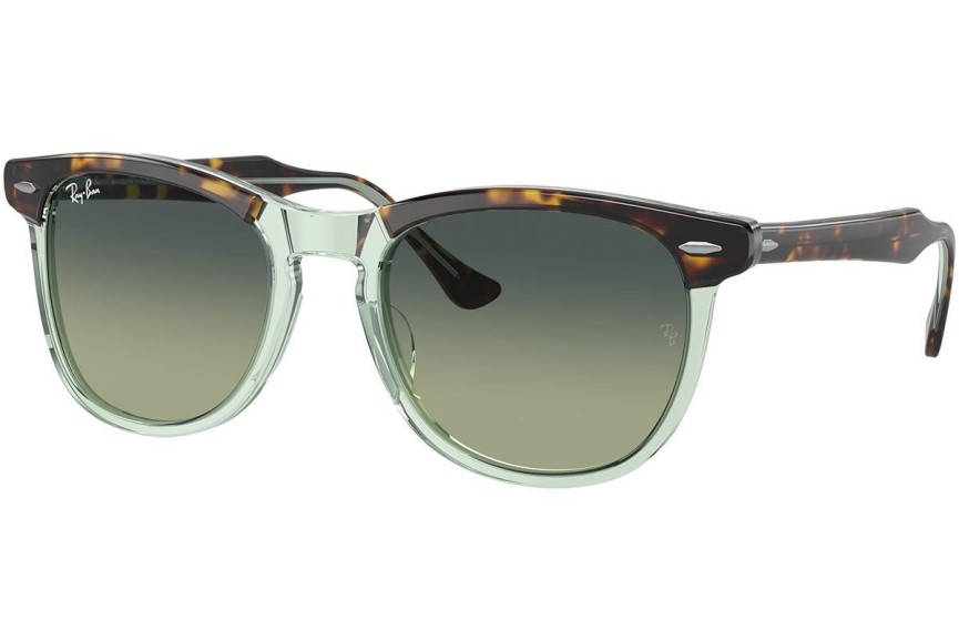 Solglasögon Ray-Ban Eagleeye RB2398 1376BH Runda Grön