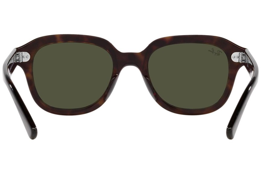 Solglasögon Ray-Ban Erik RB4398 902/31 Fyrkantig Havana