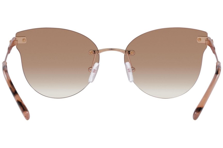 Solglasögon Michael Kors Astoria MK1130B 11086F Cat Eye Guld