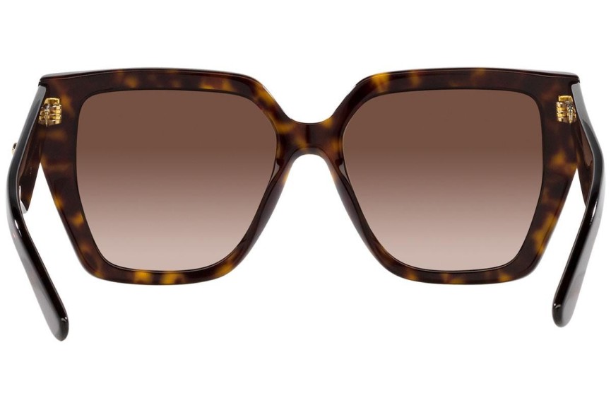 Solglasögon Dolce & Gabbana DG4438 502/13 Fyrkantig Havana