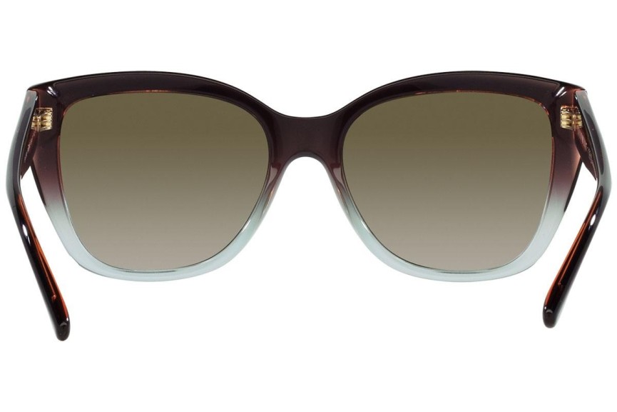 Solglasögon Emporio Armani EA4198 59898E Cat Eye Brun