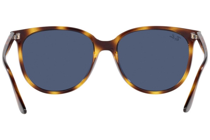 Solglasögon Ray-Ban RB4378 710/80 Fyrkantig Havana