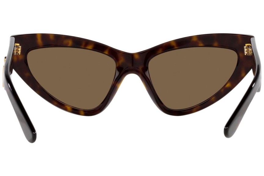 Solglasögon Dolce & Gabbana DG4439 502/73 Cat Eye Havana