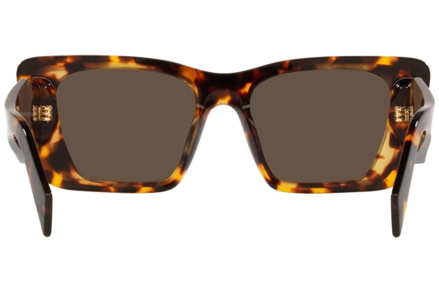 Solglasögon Prada PR08YS 01V8C1 Cat Eye Havana