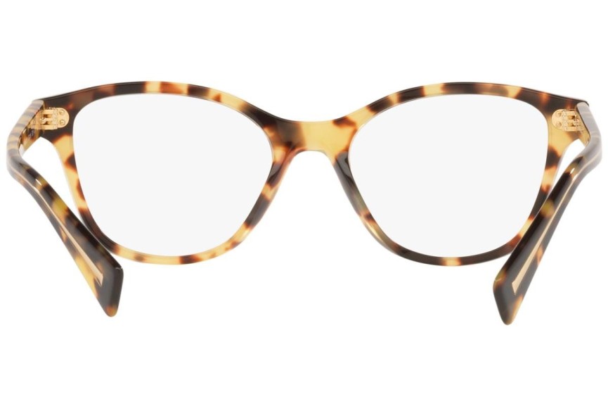 Glasögon Miu Miu MU02UV 7S01O1 Cat Eye Havana