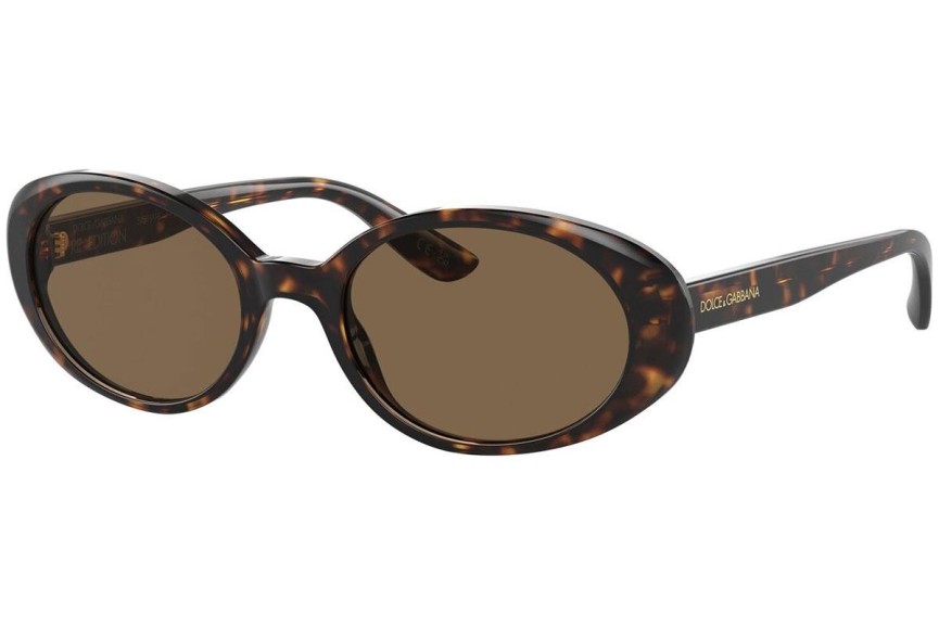 Solglasögon Dolce & Gabbana DG4443 502/73 Oval Havana