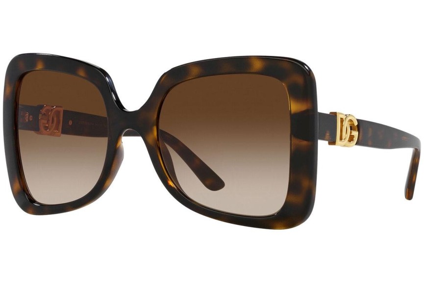 Solglasögon Dolce & Gabbana DG6193U 502/13 Oversize Havana