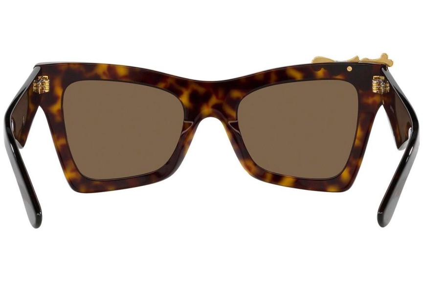 Solglasögon Dolce & Gabbana DG4434 502/73 Cat Eye Havana