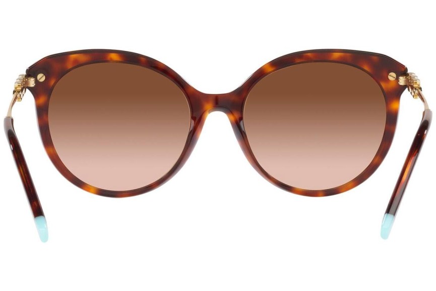 Solglasögon Tiffany & Co. TF4189B 80023B Cat Eye Havana