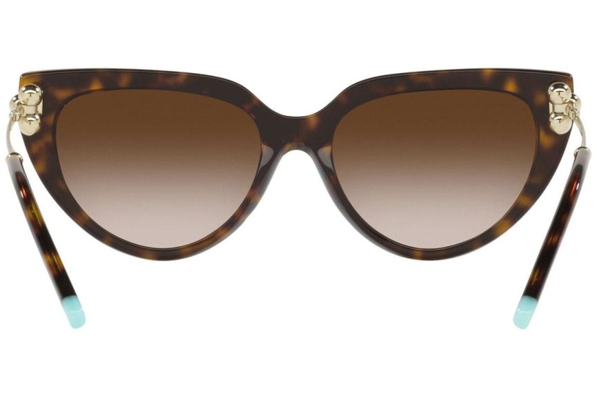 Solglasögon Tiffany & Co. TF4195 80153B Cat Eye Havana