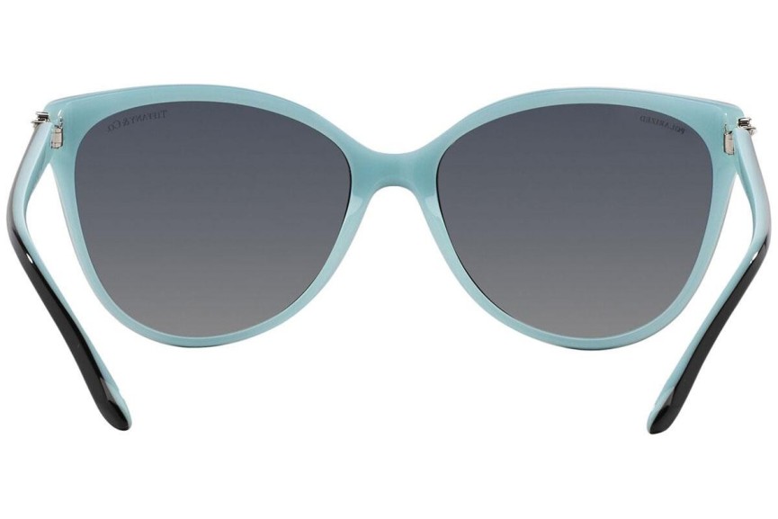 Tiffany & Co. TF4089B 8055T3 Polarized