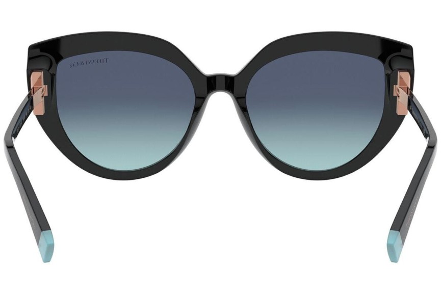 Solglasögon Tiffany & Co. TF4170 80019S Cat Eye Svart