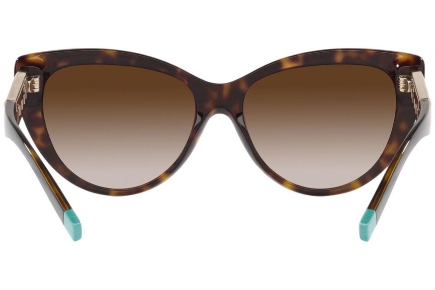 Solglasögon Tiffany & Co. TF4196 80153B Cat Eye Havana