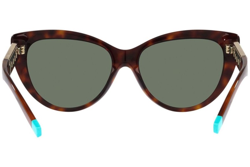 Solglasögon Tiffany & Co. TF4196 80023H Cat Eye Havana