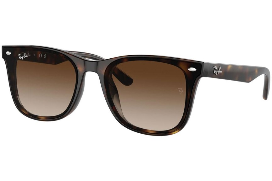 Solglasögon Ray-Ban RB4420 710/13 Fyrkantig Havana