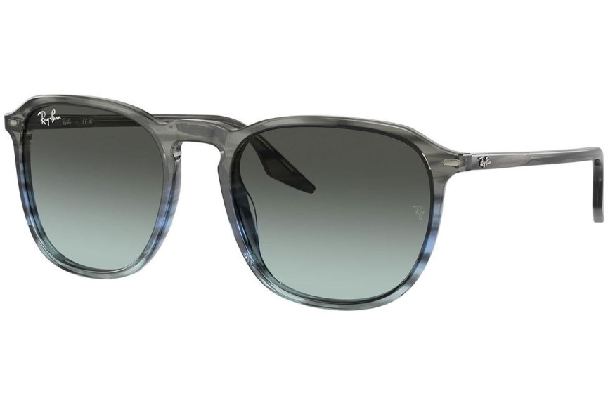 Solglasögon Ray-Ban RB2203 1391GK Fyrkantig Grå