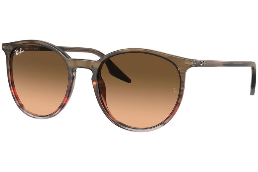 Solglasögon Ray-Ban RB2204 13953B Runda Brun