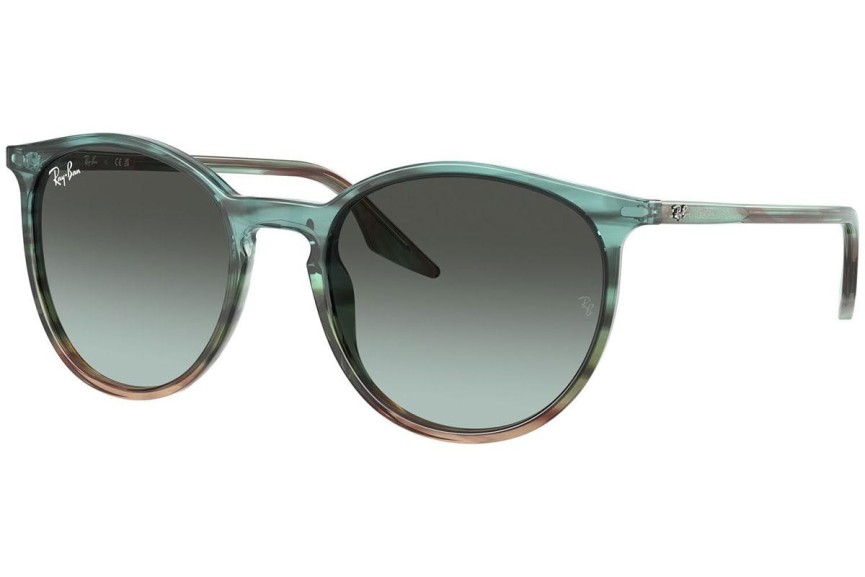 Solglasögon Ray-Ban RB2204 1394GK Runda Blå