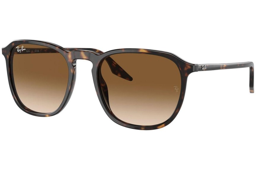 Solglasögon Ray-Ban RB2203 902/51 Fyrkantig Havana