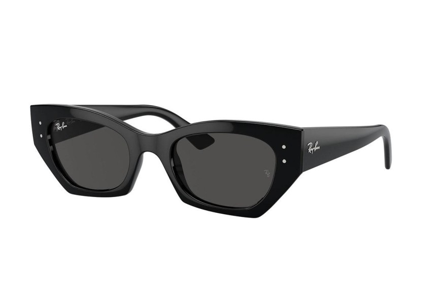 Solglasögon Ray-Ban RB4430 667787 Browline Svart