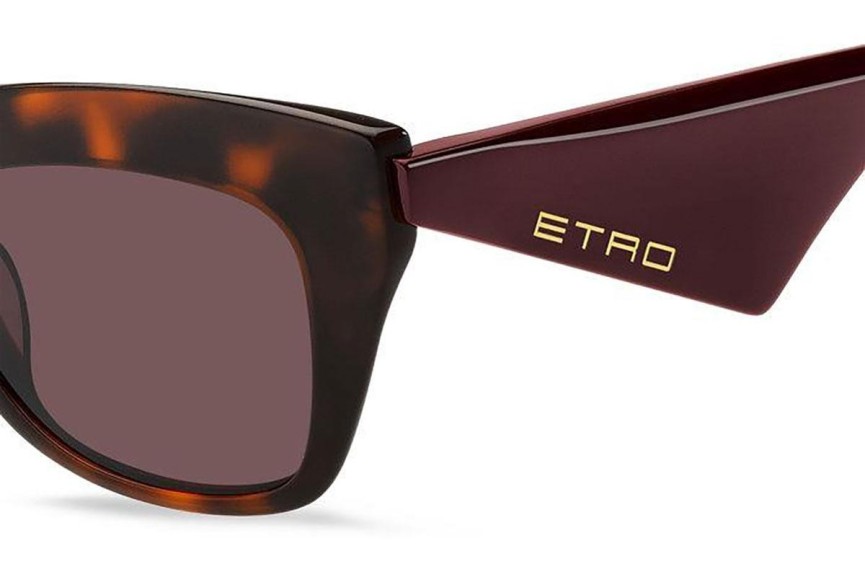 Solglasögon Etro ETRO0004/G/S 086/U1 Browline Havana