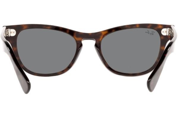 Solglasögon Ray-Ban Laramie RB2201 902/B1 Fyrkantig Havana