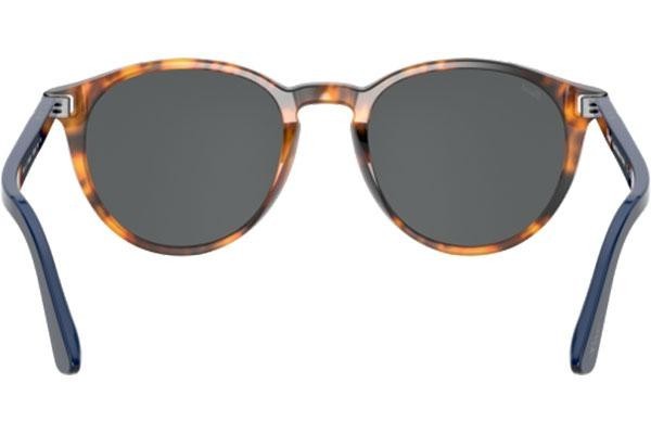 Solglasögon Persol PO3152S 1134B1 Runda Havana