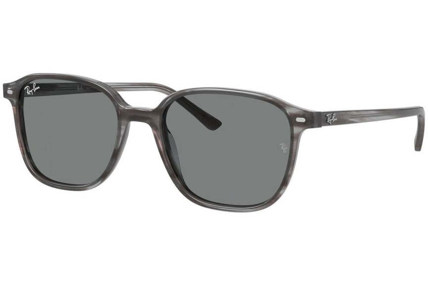 Solglasögon Ray-Ban Leonard RB2193 1314B1 Fyrkantig Grå