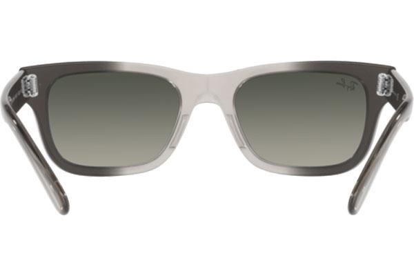 Solglasögon Ray-Ban Mr Burbank RB2283 134071 Fyrkantig Grå