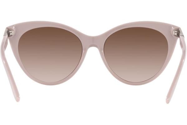 Solglasögon Ralph Lauren RL8195B 599613 Cat Eye Beige