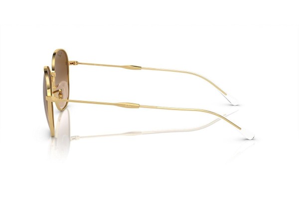 Solglasögon Ray-Ban RB3809 001/51 Special Guld