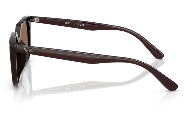 Solglasögon Ray-Ban RB4439D 623173 Fyrkantig Brun