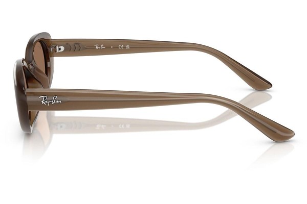 Solglasögon Ray-Ban RB4441D 677973 Oval Brun