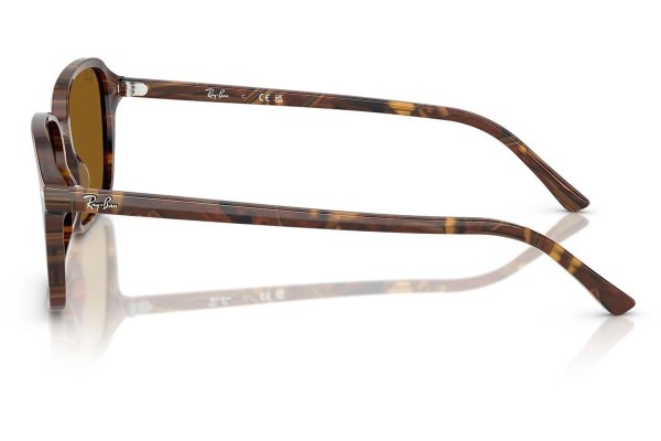 Solglasögon Ray-Ban RB2231 141833 Fyrkantig Brun