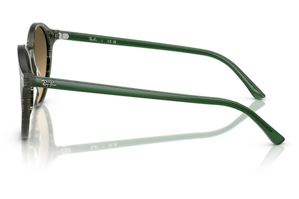 Solglasögon Ray-Ban RB2230 14210A Runda Grön