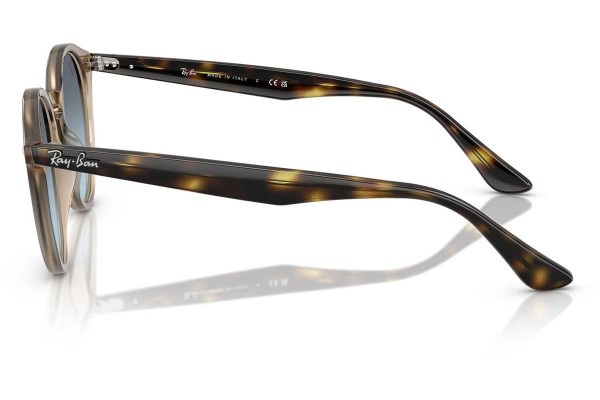 Solglasögon Ray-Ban RB2180F 8788V1 Runda Brun