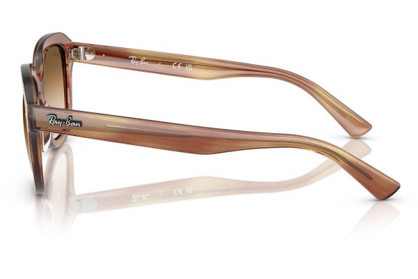 Solglasögon Ray-Ban Erik RB4398 140351 Fyrkantig Brun