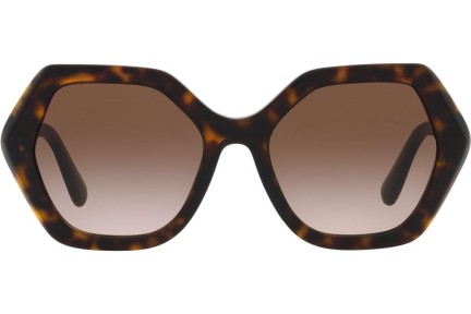 Solglasögon Dolce & Gabbana DG4406 502/13 Fyrkantig Havana